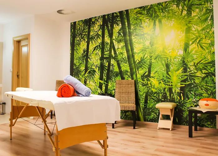 Wellness Luzan Hotell 3*