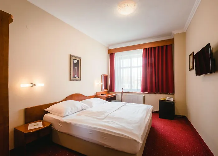 Hotell Wellness Luzan 3*